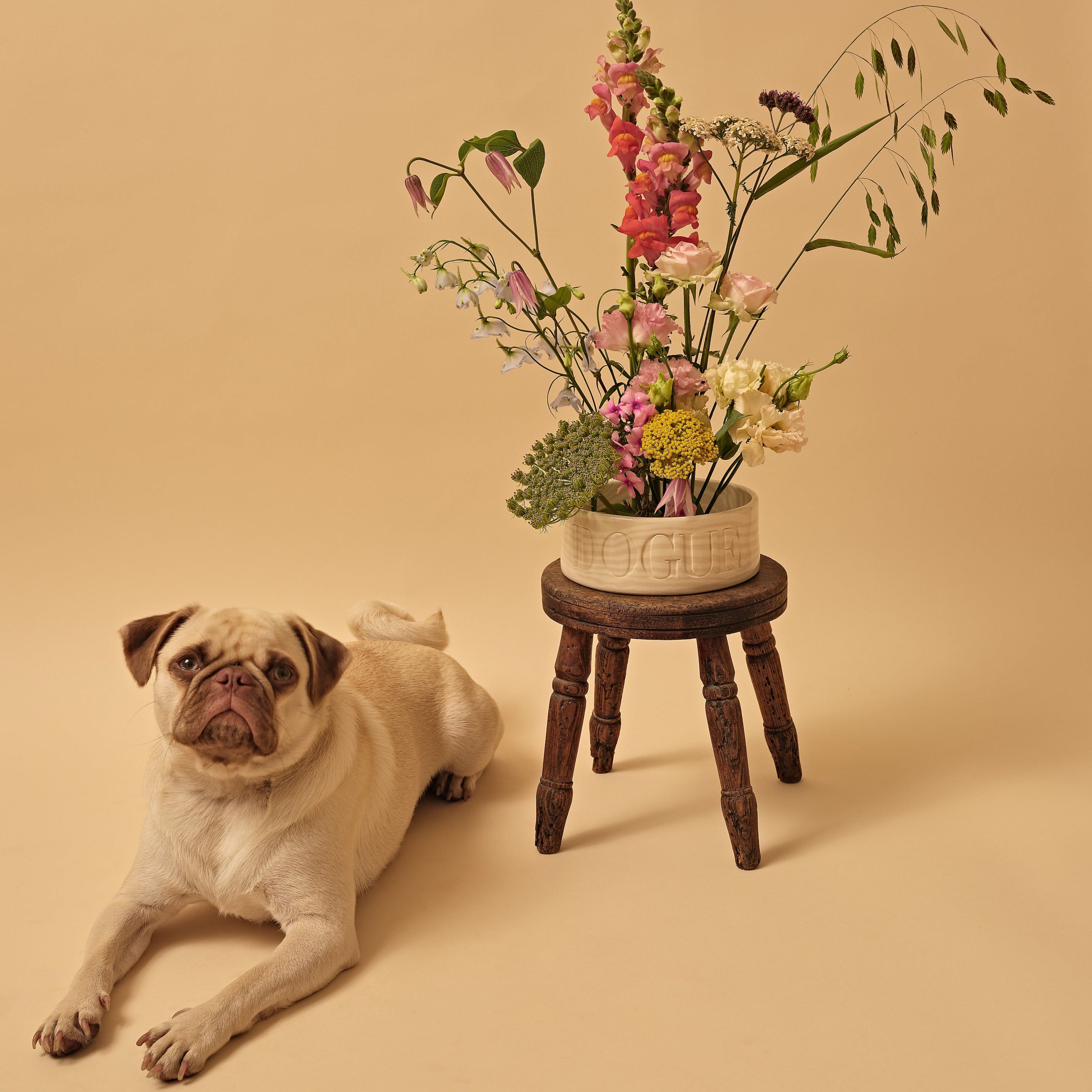 Henry Holland Studio x Dogue Oatmeal and White Large Pet Bowl