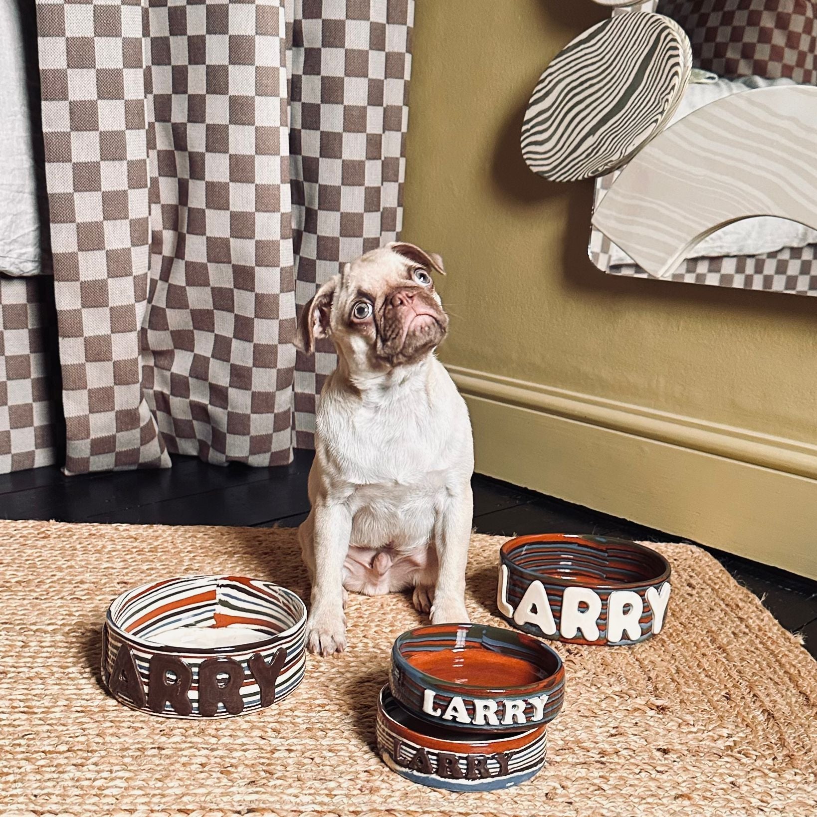 Small dog standing on a rug with three ceramic bowls labeled 'LARRY' in a home setting.