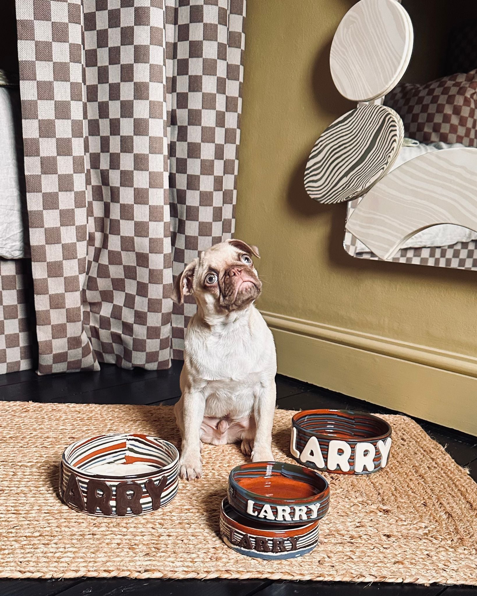 Personalised 4 Multi-Coloured Small Pet Bowl