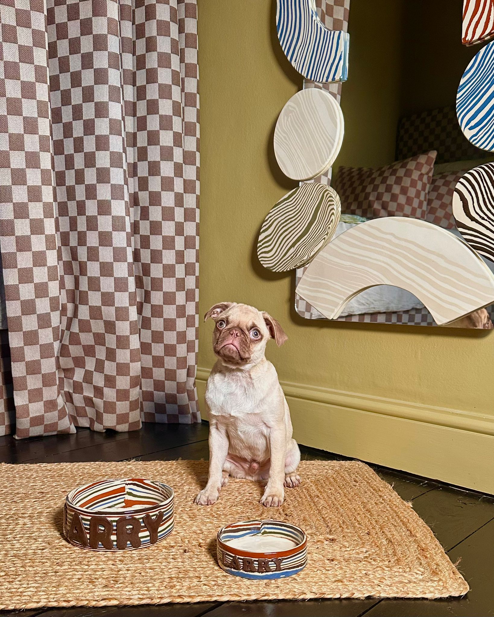 Personalised 5 Multi-Colour Large Pet Bowl