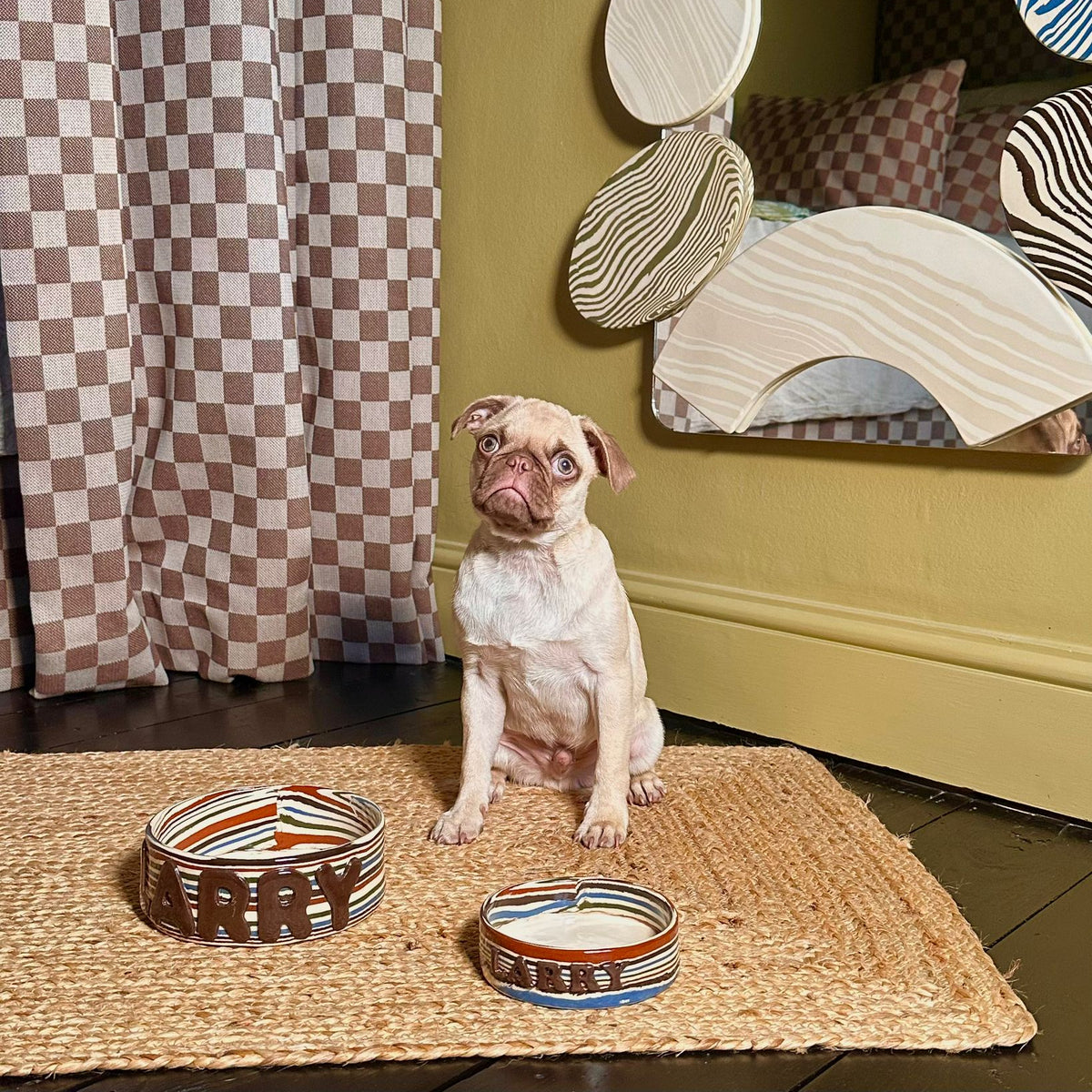 Personalised 5 Multi-Colour Large Pet Bowl