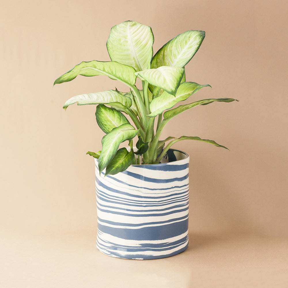 marble plant pot indoor Giant Blue & White Marble Planter