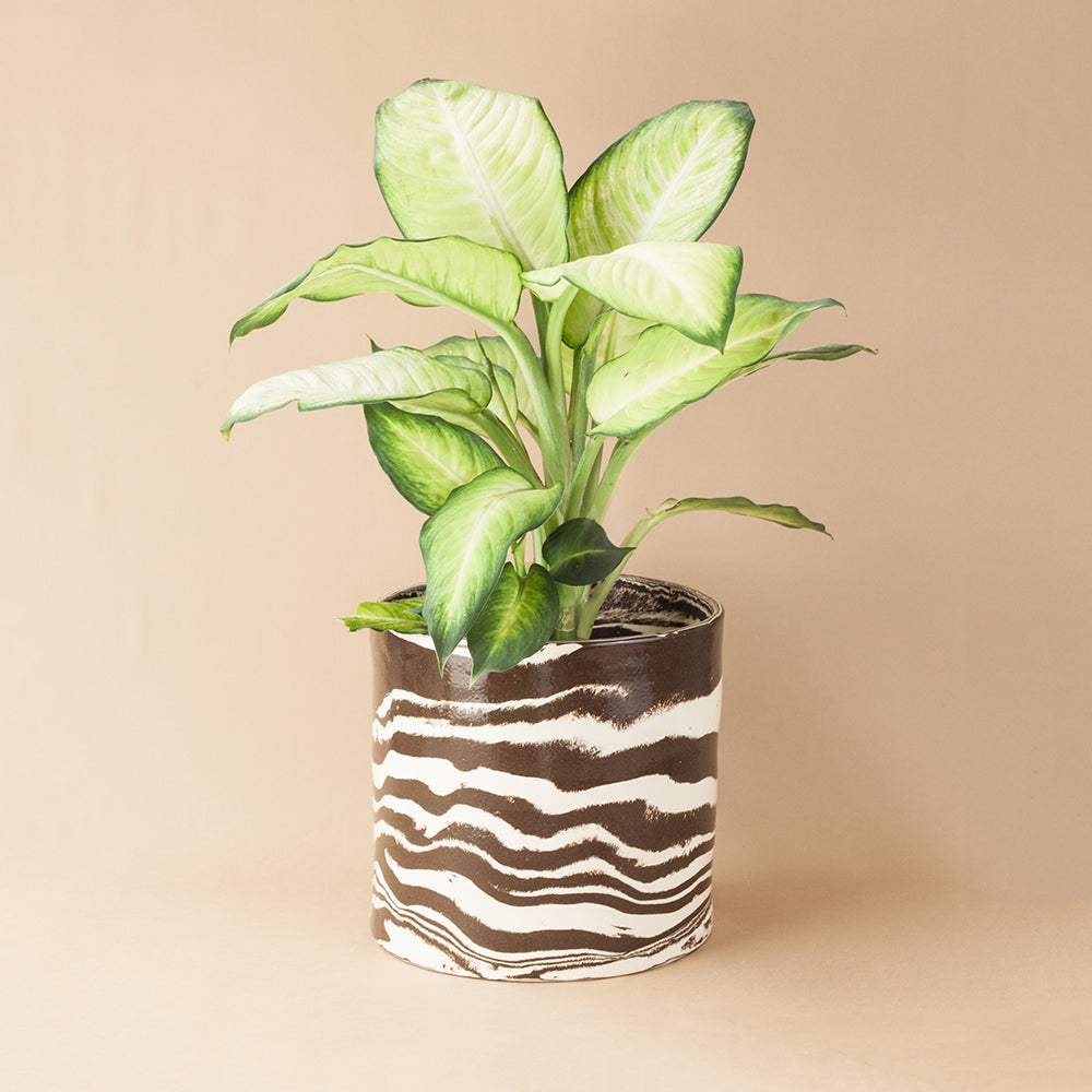 Giant Brown & White Marble Planter
