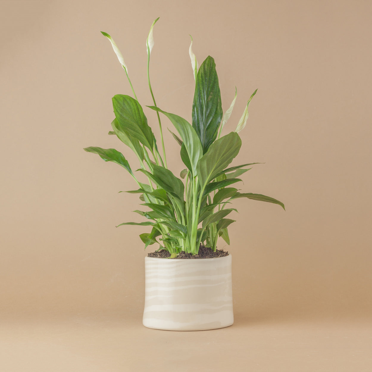 white marble planter pot Small Oatmeal & White Marble Planter