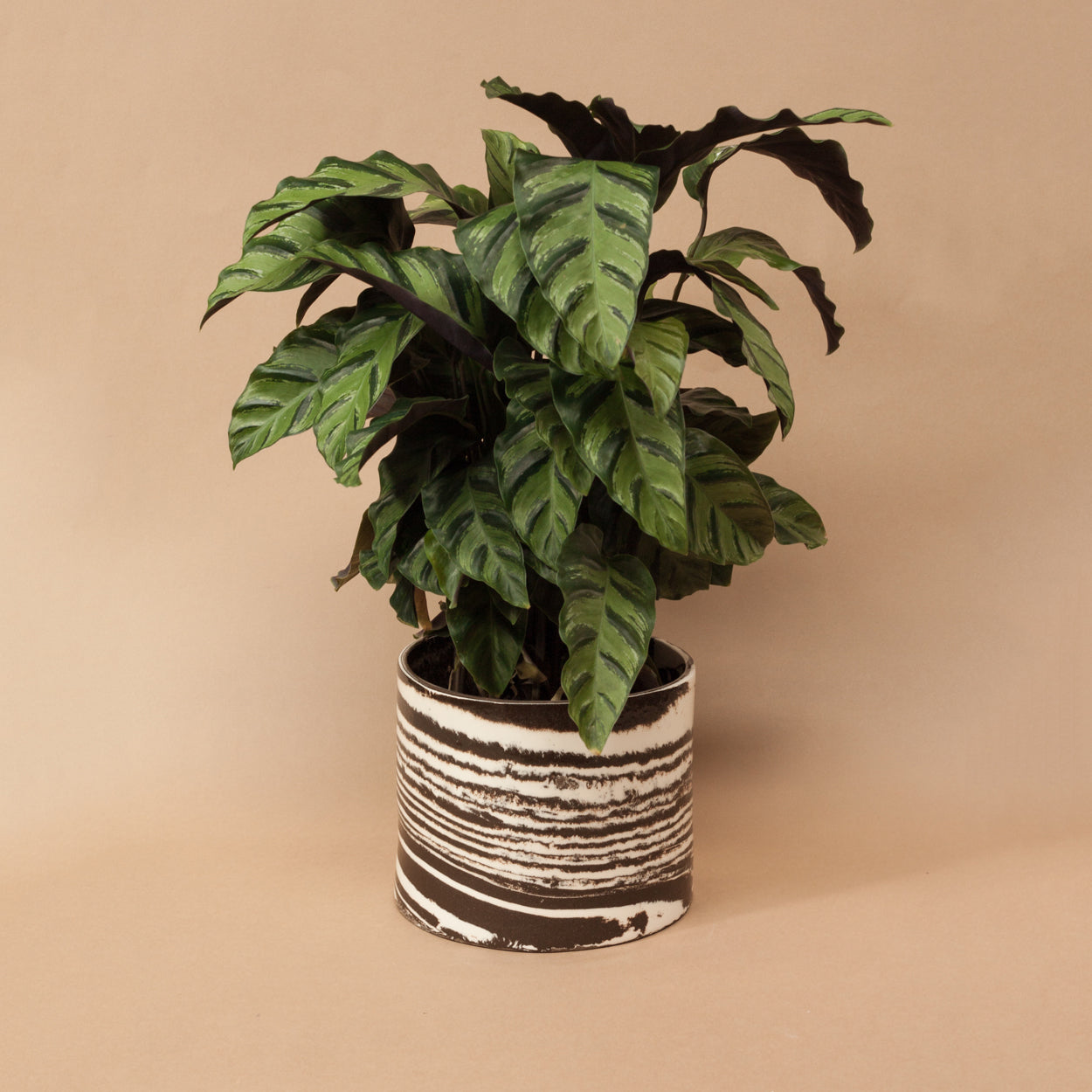 Brown & White Marble Planter