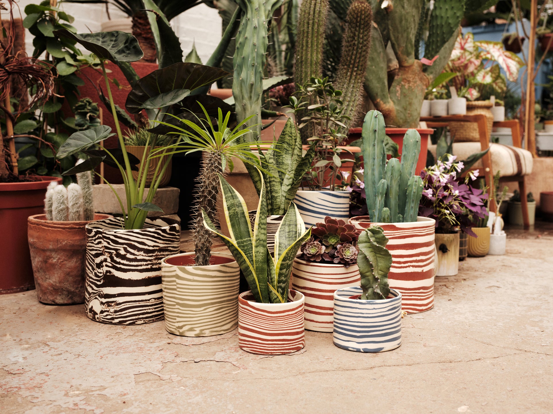 The Pot Shop