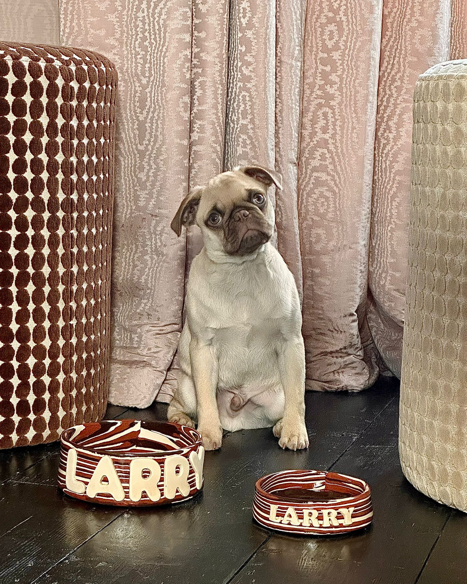 Personalised Terracotta, Brown and White Small Pet Bowl
