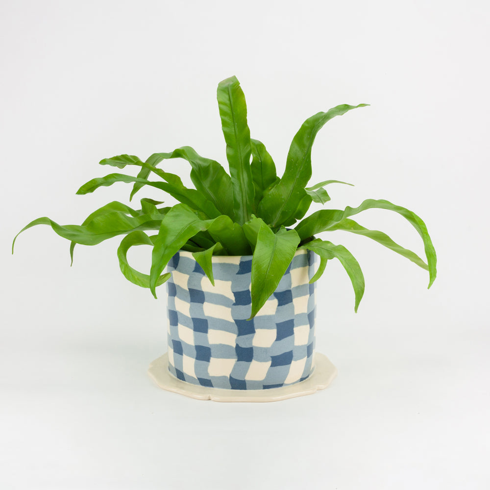 Blue & White Gingham Planter