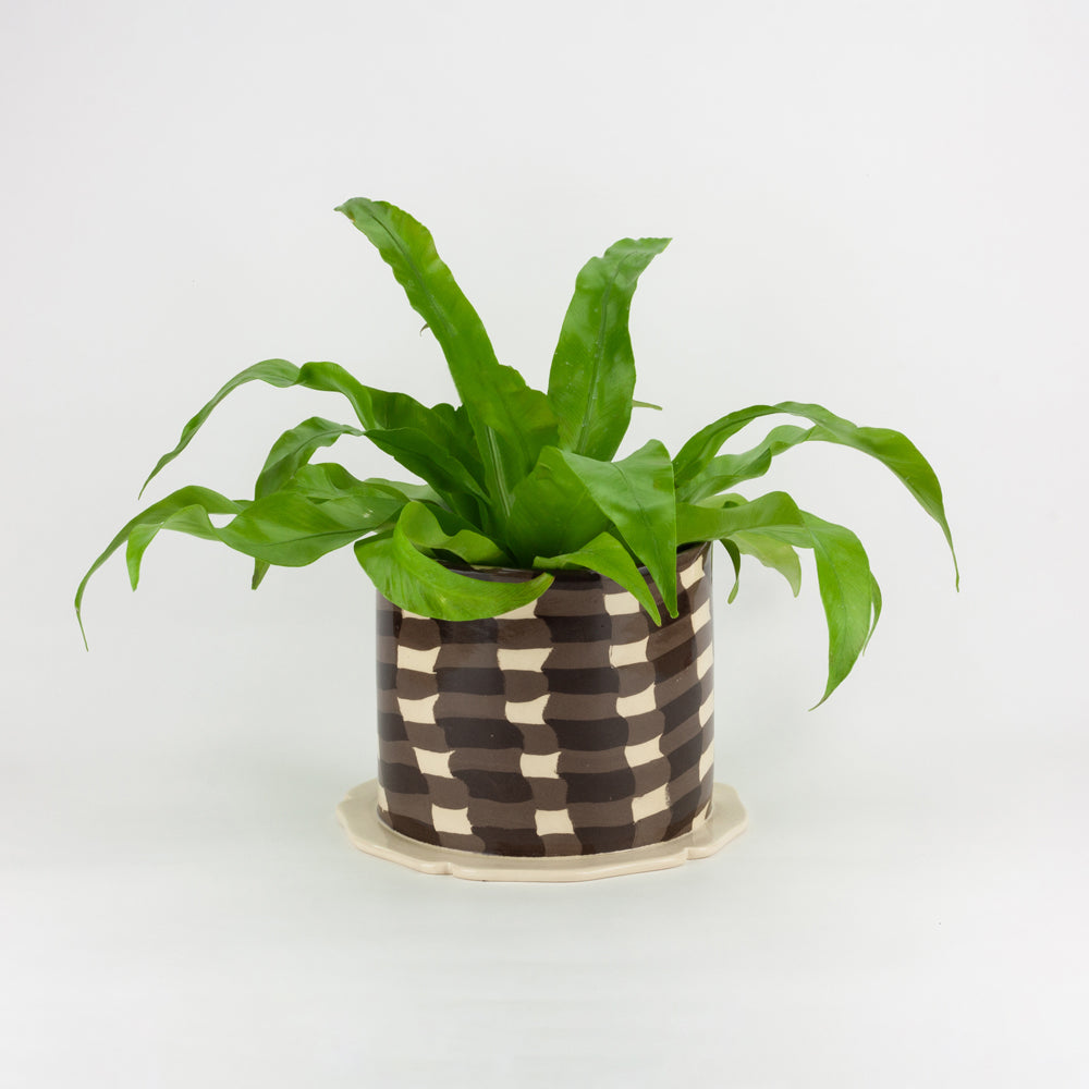 Brown & White Gingham Planter