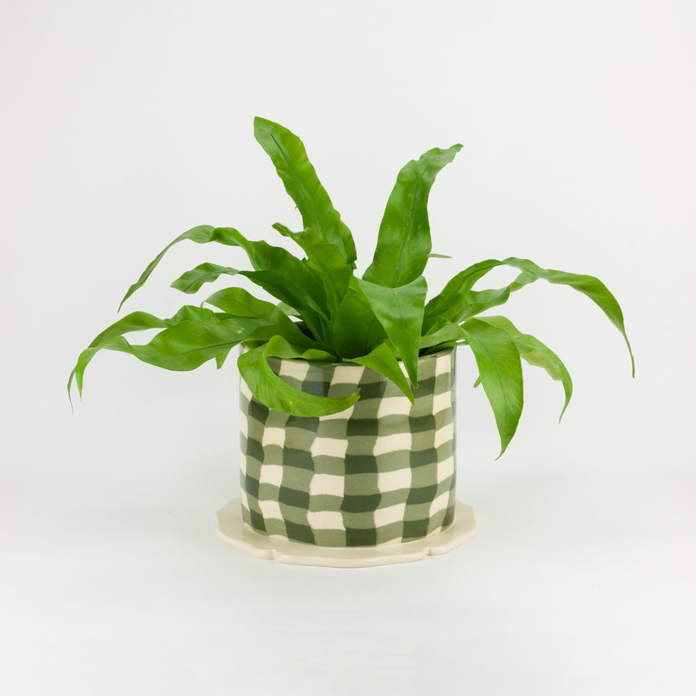Green & White Gingham Planter